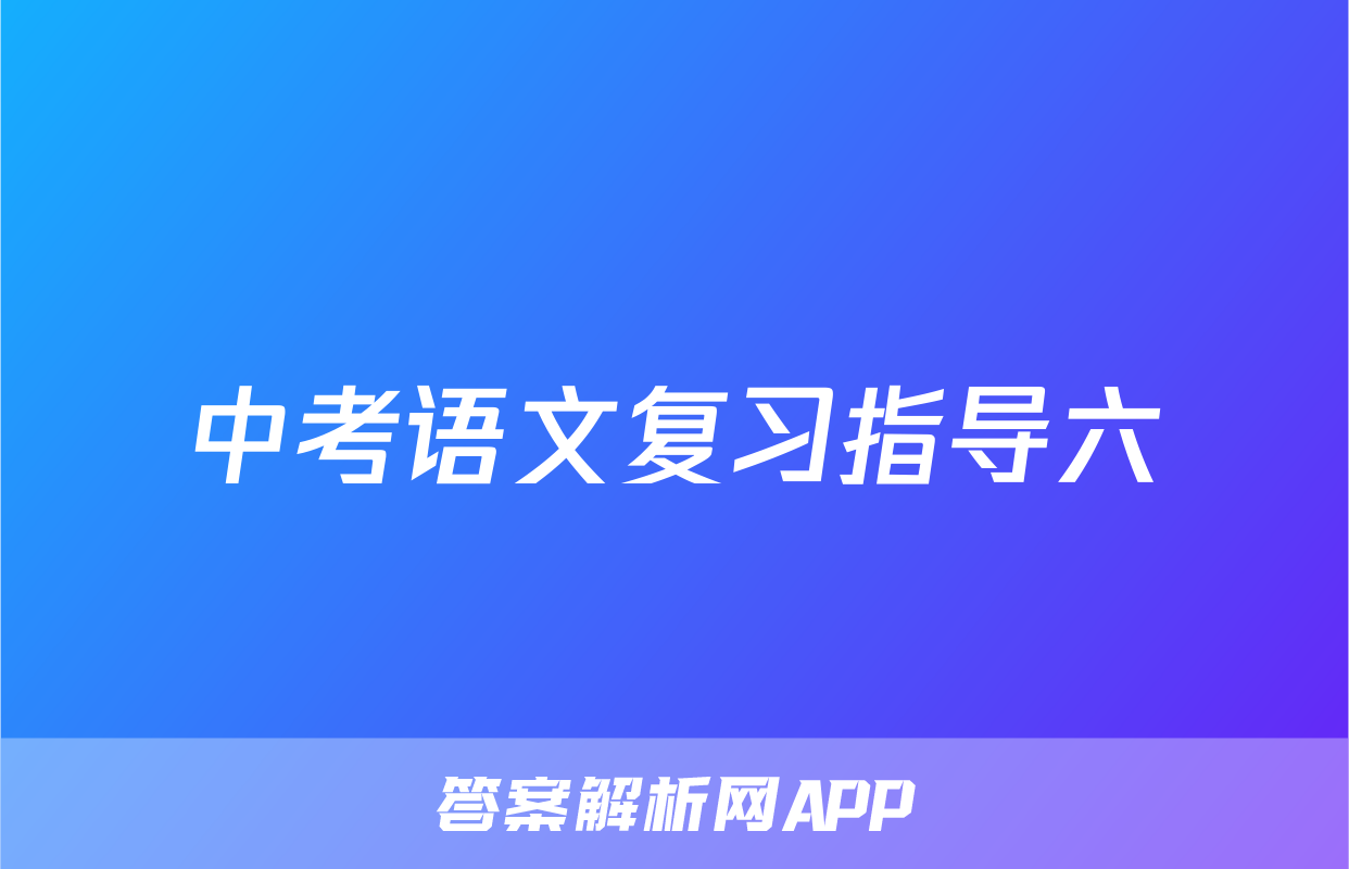 中考语文复习指导六