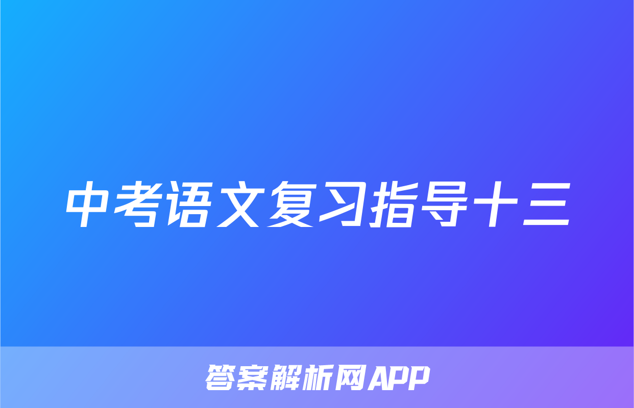 中考语文复习指导十三