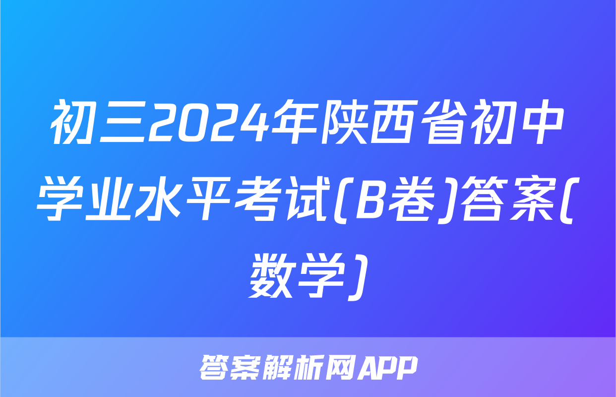 初三2024年陕西省初中学业水平考试(B卷)答案(数学)