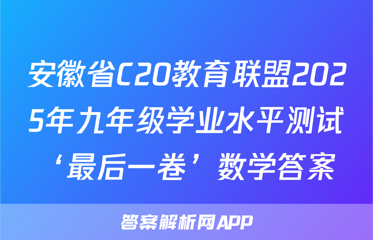 安徽省C20教育联盟2025年九年级学业水平测试‘最后一卷’数学答案