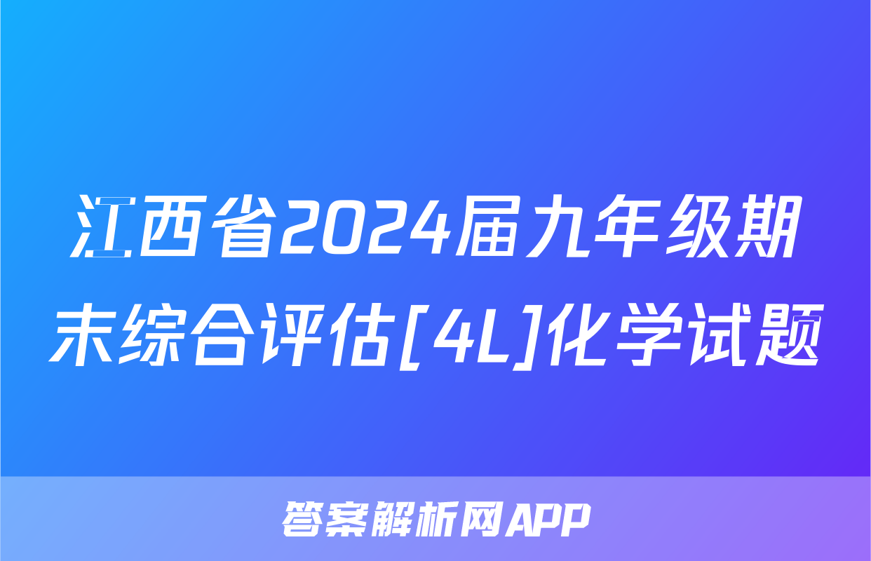 江西省2024届九年级期末综合评估[4L]化学试题