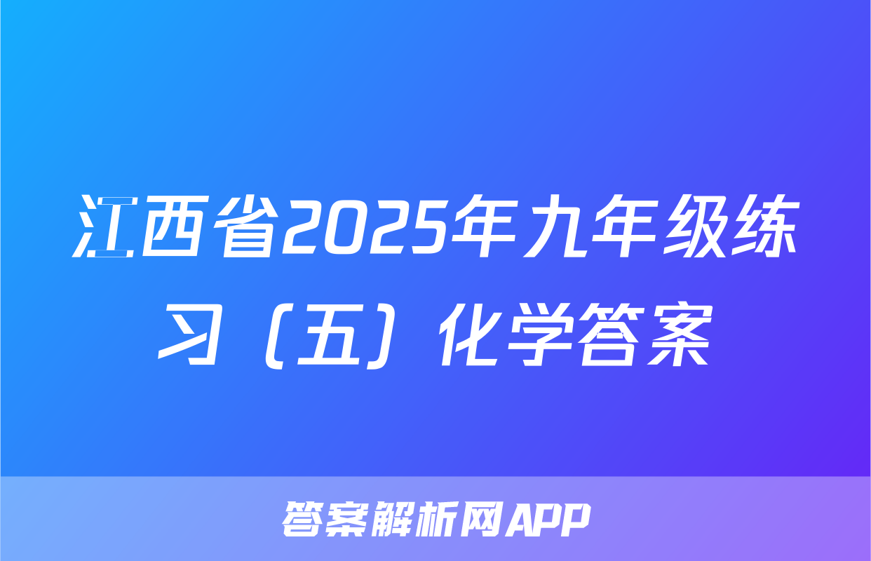 江西省2025年九年级练习（五）化学答案