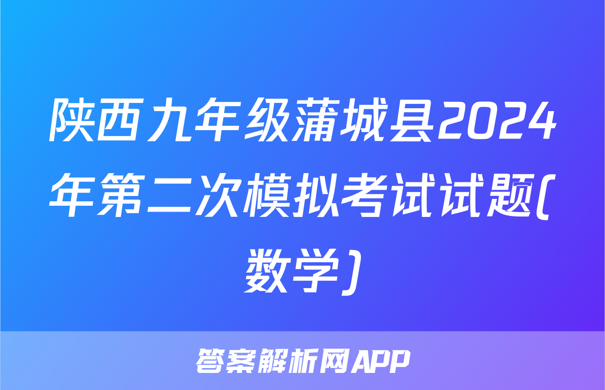 陕西九年级蒲城县2024年第二次模拟考试试题(数学)
