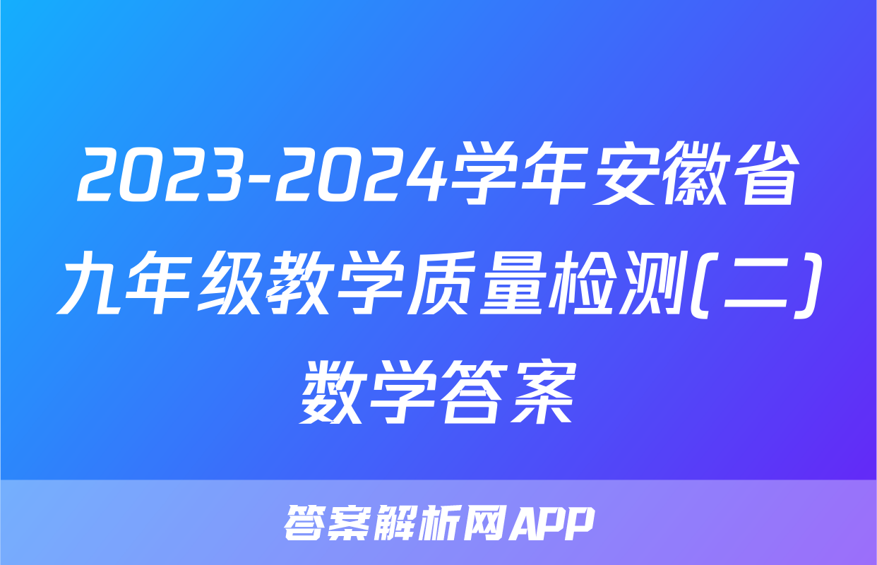 2023-2024学年安徽省九年级教学质量检测(二)数学答案