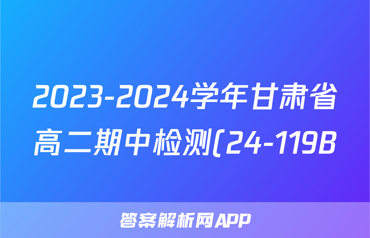 2023-2024学年甘肃省高二期中检测(24-119B)/物理试卷答案