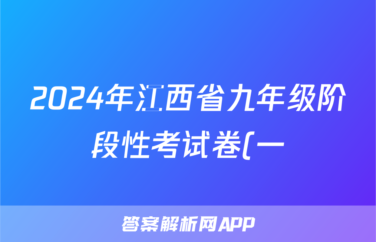 2024年江西省九年级阶段性考试卷(一)化学答案