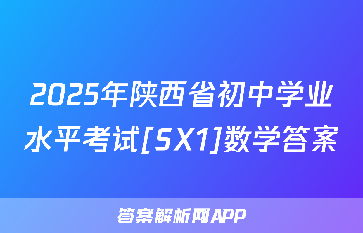 2025年陕西省初中学业水平考试[SX1]数学答案