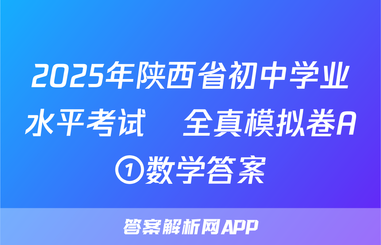 2025年陕西省初中学业水平考试•全真模拟卷A①数学答案