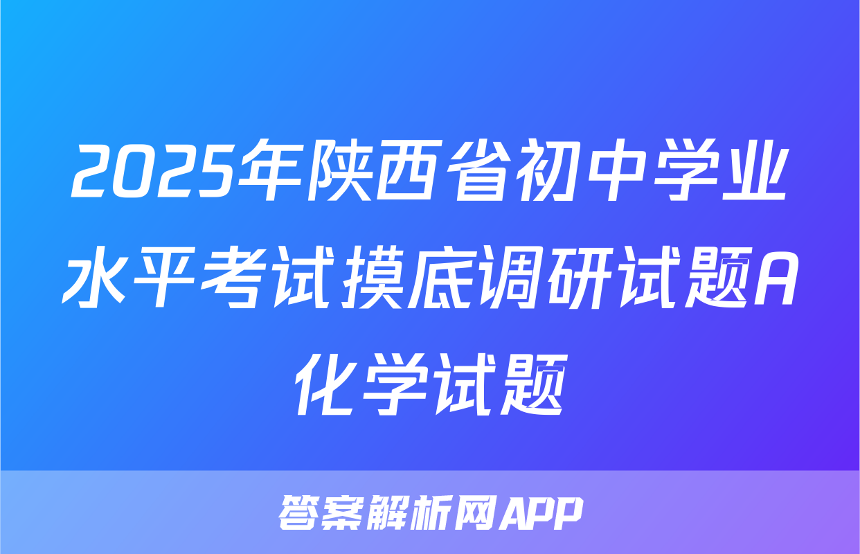 2025年陕西省初中学业水平考试摸底调研试题A化学试题