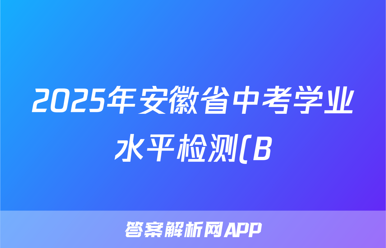 2025年安徽省中考学业水平检测(B)化学试题