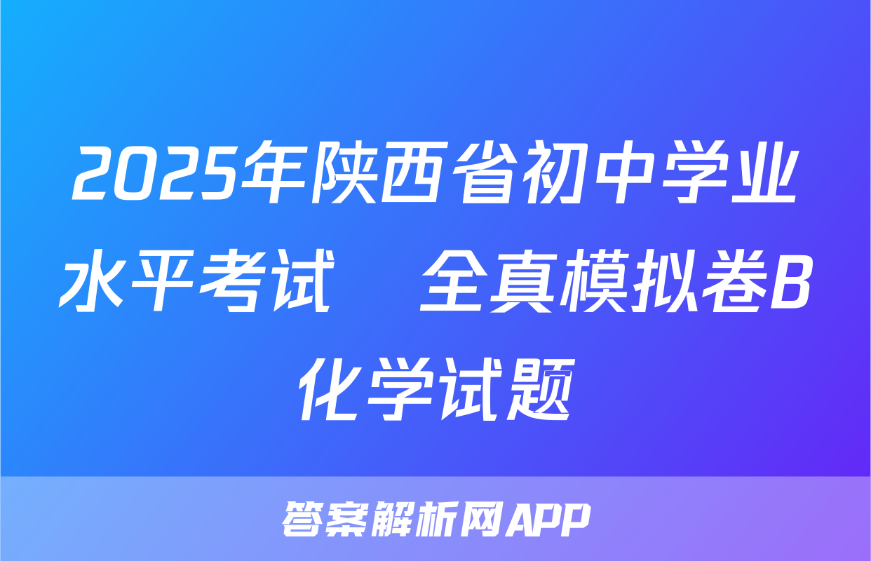 2025年陕西省初中学业水平考试•全真模拟卷B化学试题