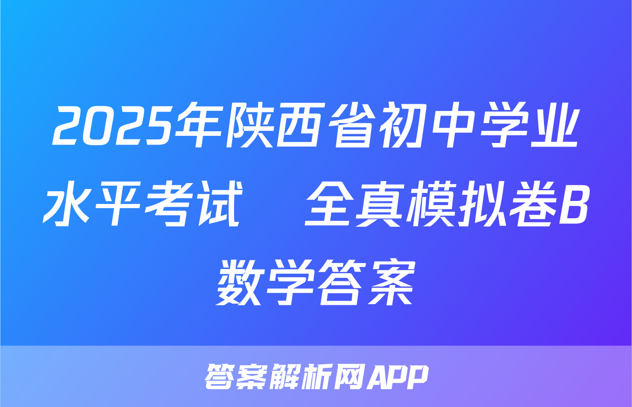 2025年陕西省初中学业水平考试•全真模拟卷B数学答案