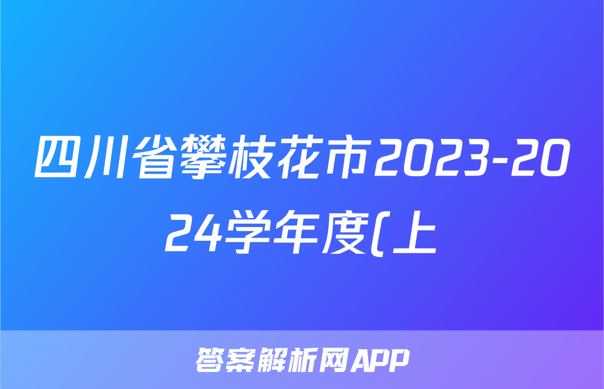 四川省攀枝花市2023-2024学年度(上)高二普通高中教学质量监测(2024.1)物理试题