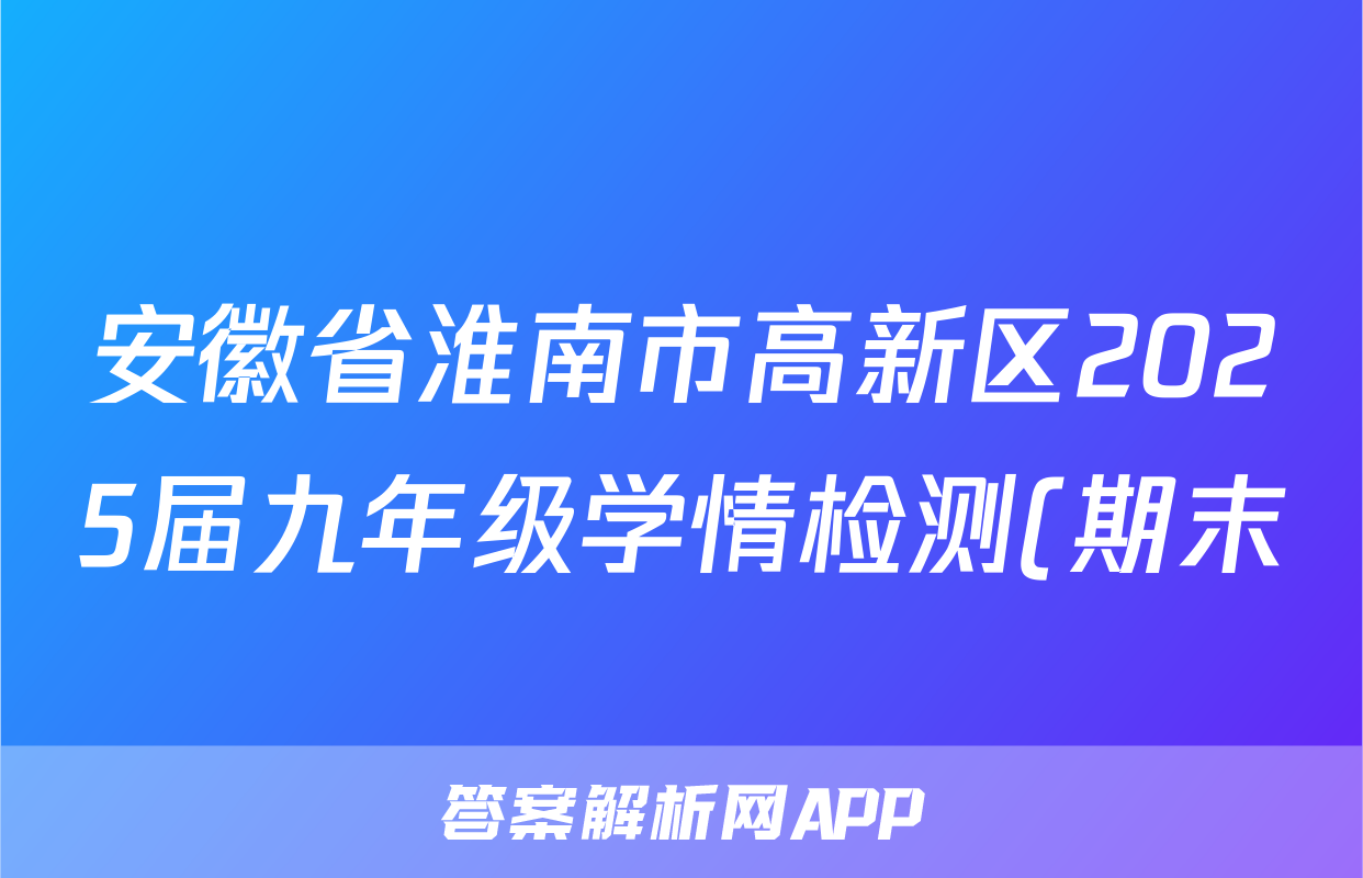 安徽省淮南市高新区2025届九年级学情检测(期末)化学答案