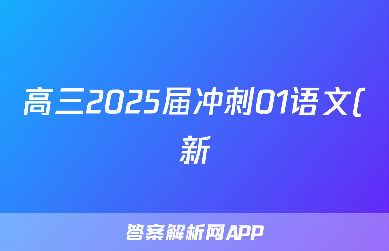 高三2025届冲刺01语文(新)试题